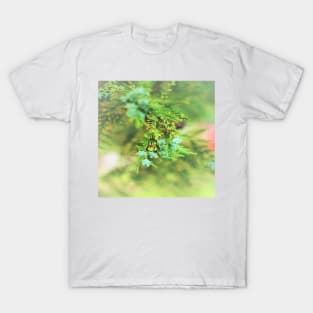 Fresh Greenery and Plant Life- Pine tree, plants, bokeh background T-Shirt